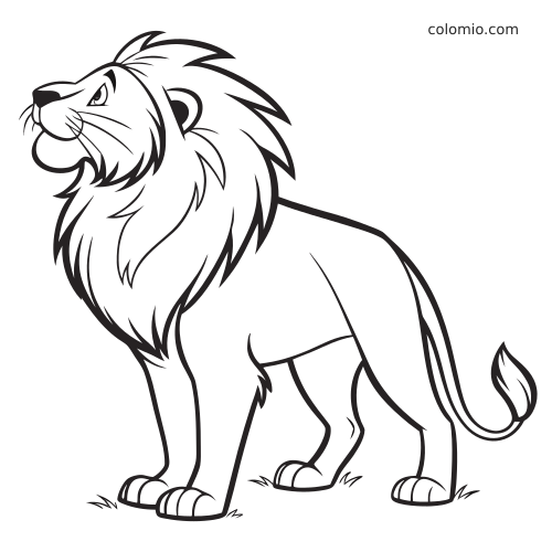 Kreskówkowy lew z dużą grzywą stoi i patrzy w górę, przedstawiony wyraźnym czarnym konturem.