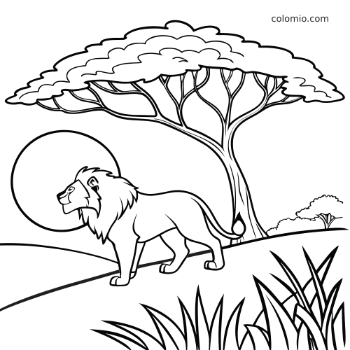 Lew w formie rysunku konturowego idzie pod dużą akacją na sawannie, z nisko położonym słońcem i wysoką trawą na pierwszym planie.