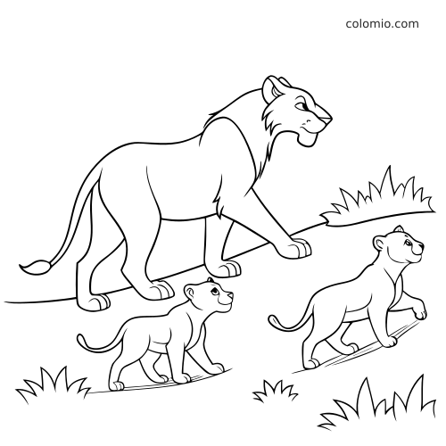 Lwica idzie ścieżką po trawie, a obok niej widać dwa lwiątka w prostym czarno-białym rysunku konturowym.