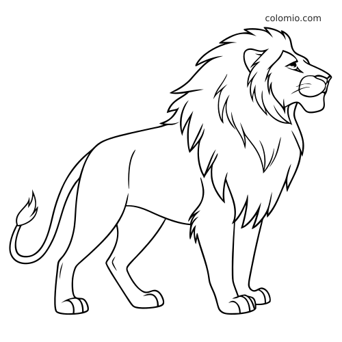 Prosty rysunek konturowy lwa samca z dużą grzywą, stojącego bokiem i zwróconego w prawo.
