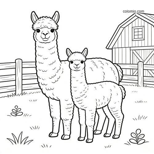 A fluffy alpaca mother and her cria stand in a farmyard with a fence and barn in a simple black-and-white line drawing.