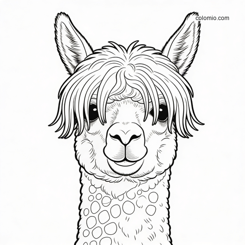 Front-facing cute alpaca portrait with long floppy bangs, big eyes, and fluffy fur in clean black-and-white line art.