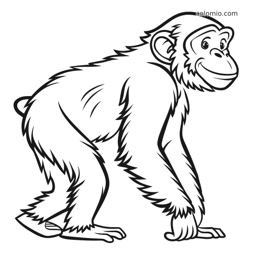 Uno scimpanzé sorridente con pelo arruffato e tratti arrotondati, disegnato con un semplice contorno in bianco e nero.