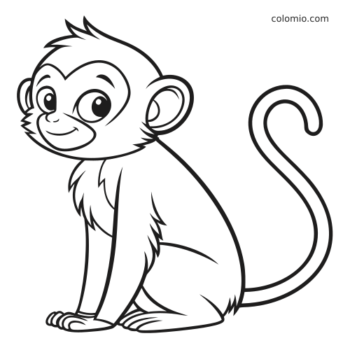 Una scimmia in stile cartone animato con grandi occhi, orecchie tonde e coda arricciata, seduta in un semplice disegno a contorni.