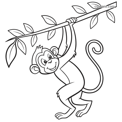 Una scimmia in stile cartone animato sorride mentre si appende con una mano a una liana con foglie, in un semplice contorno in bianco e nero.