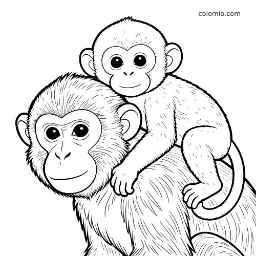 Ritratto ravvicinato in bianco e nero di una mamma scimmia con il suo cucciolo sulla schiena, con dettagli del pelo.