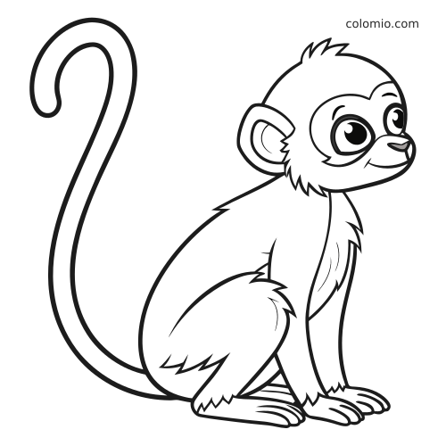 Una piccola scimmia seduta in posizione eretta, con grandi occhi, dettagli di pelo soffice e una lunga coda arricciata, in linee pulite.