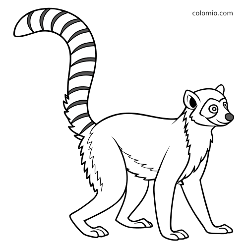 Un lemure in stile cartone animato in piedi di profilo, con lunga coda ad anelli, contorni semplici e muso sorridente.