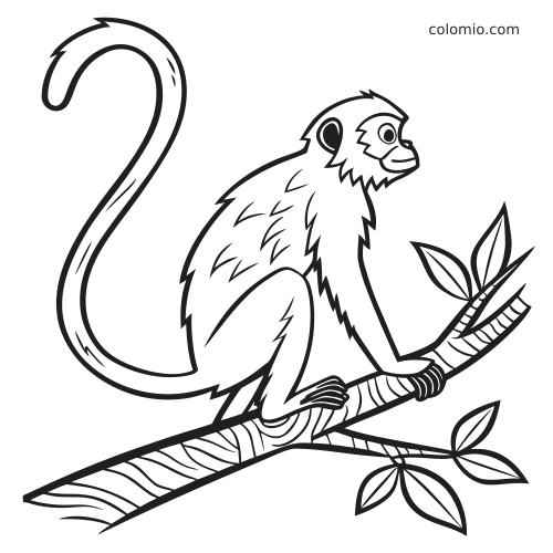 Una scimmia ragno in linee marcate è seduta su un ramo d'albero con foglie e una lunga coda ricurva.