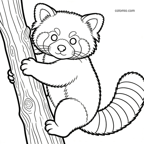 Et detaljert portrett av en rød panda med den lodne stripete halen.