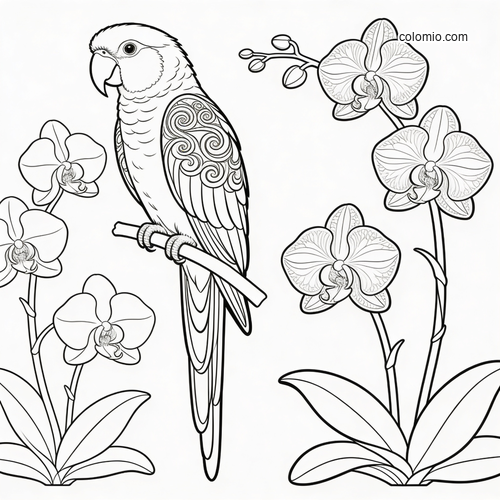 En papegoja med dekorativa vingmönster i jugendstil sitter på en gren omgiven av blommande orkidéer i svartvit linjeteckning. En papegoja med dekorativa vingmönster i jugendstil sitter på en gren omgiven av blommande orkidéer i svartvit linjeteckning.
