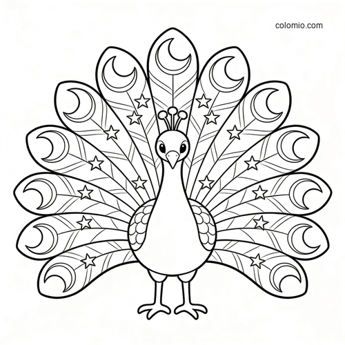 A front-facing peacock with a fan tail of moon and star patterned feathers in a simple fantasy line art style.