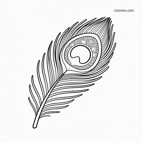 Black-and-white close-up of a detailed peacock feather with an ornate eye pattern and flowing barbs.
