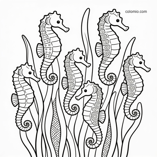 Five seahorses gathered among tall kelp fronds in a simple black-and-white line art style. Five seahorses gathered among tall kelp fronds in a simple black-and-white line art style.