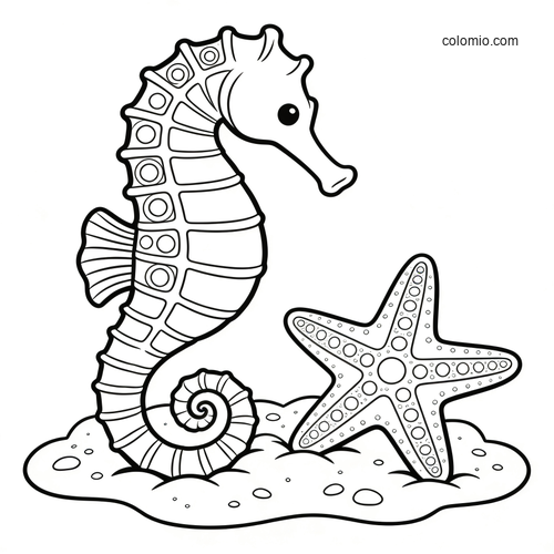 A simple cartoon seahorse stands beside a starfish on the sandy seabed in a clean black-and-white outline drawing. A simple cartoon seahorse stands beside a starfish on the sandy seabed in a clean black-and-white outline drawing.