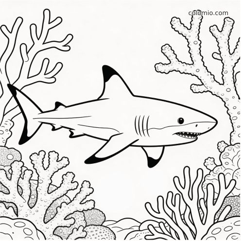 En detaljert hai med mørke finnespisser svømmer mellom korallgrener i et korallrev, tegnet med rene svarte konturer.