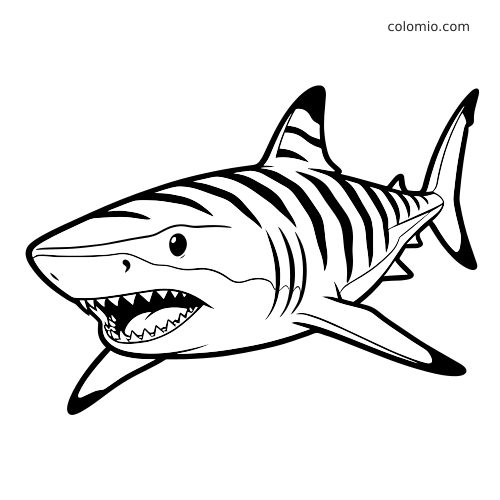 Et detaljert nærbilde av en tigerhai med tydelige striper, åpen munn og skarpe tenner i svømmeposisjon.