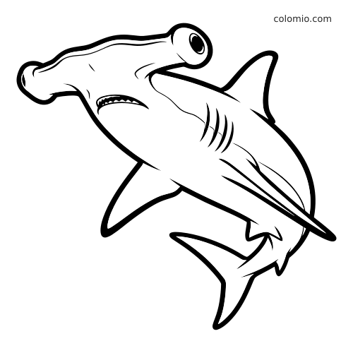 En detaljert hammerhai som svømmer oppover, med tydelige konturer, synlige gjeller, finner og litt åpen munn.