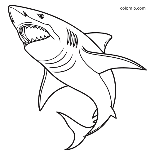 En enkel svart-hvitt-kontur av en megalodonhai som svømmer oppover med åpen munn og skarpe tenner.