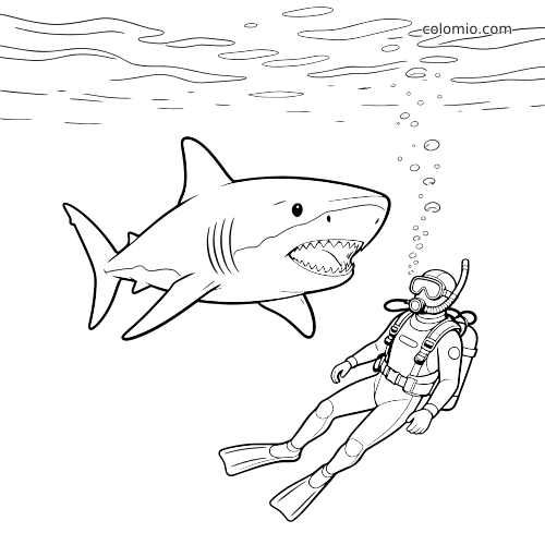 En realistisk hai svømmer mot en dykker under vann, med bobler og vannoverflaten tegnet i rene svarte konturer.