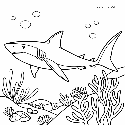 En enkel strektegning av en hai som svømmer gjennom et korallrev med sjøplanter, bobler og en liten skilpadde på havbunnen.