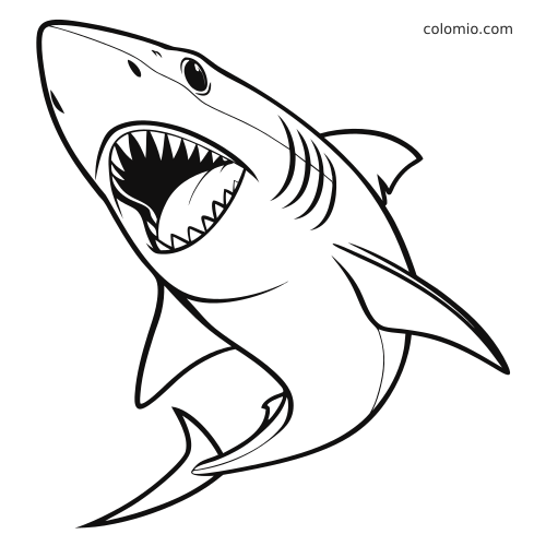 Svart-hvitt illustrasjon av en enkel hai sett forfra med vidåpen munn, spisse tenner og tydelige, kraftige konturer.