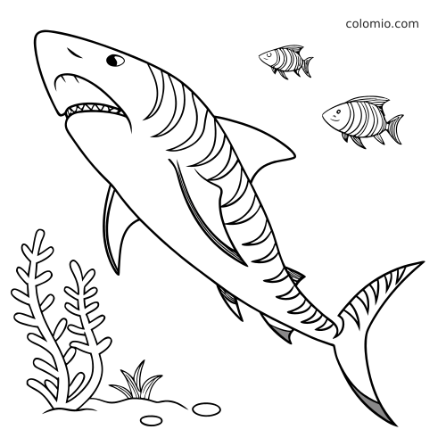 En enkel tigerhai med stripete mønster svømmer under vann ved siden av sjøplanter og to små stripete fisker.