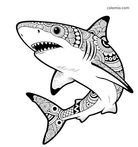 En hai i detaljert zentangle-stil med tette sirkulære og geometriske mønstre, åpen munn og synlige skarpe tenner.