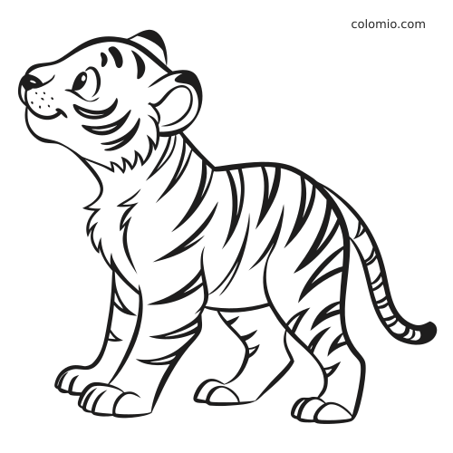 A cute tiger cub sitting alone and looking upward, drawn in a playful cartoon style with bold black stripes.