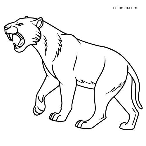 A black-and-white line drawing of a roaring saber-toothed tiger standing in side view with long fangs and bold outlines.