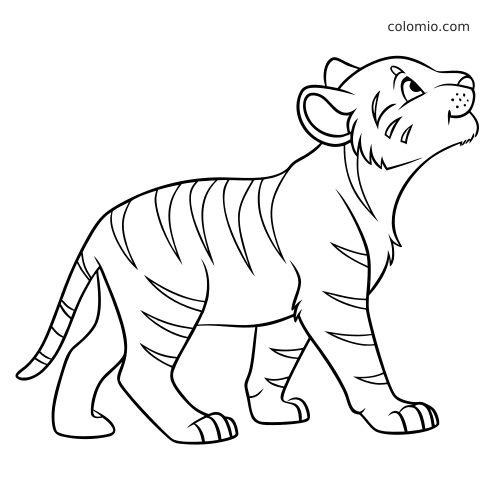 A simple line drawing of a tiger cub standing alone in side view, with its head lifted and bold stripes.
