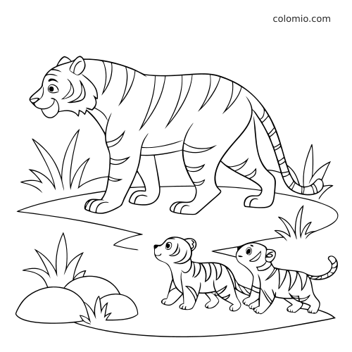 A simple line drawing of a mother tiger walking with two cubs on a path, with grass and rocks around them.