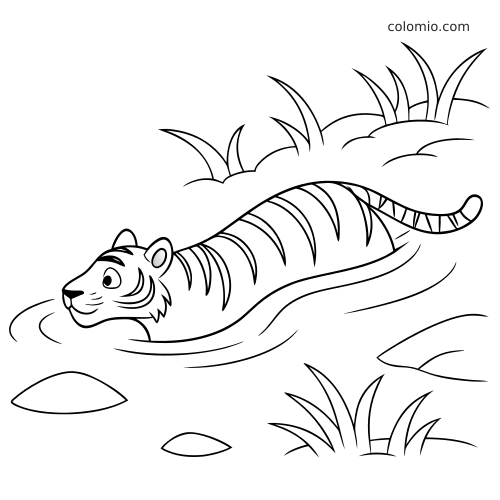 A simple cartoon tiger swims through a river, with grass on the bank and gentle ripples around its body.