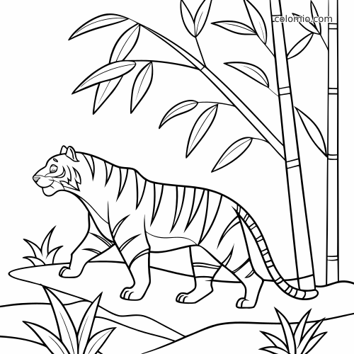 A tiger walking through a jungle scene with tall bamboo stalks and leafy plants in a simple black-and-white outline.