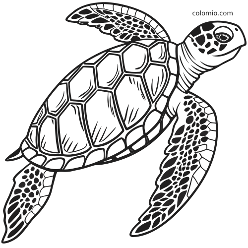 Tartaruga marinha em preto e branco nadando, com casco detalhado de placas grandes e nadadeiras com manchas.