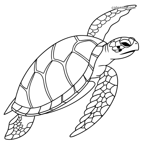 Desenho em preto e branco de uma tartaruga-de-pente nadando, com uma nadadeira levantada e placas no casco.