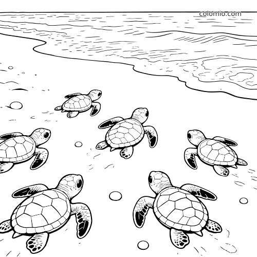 Cinco filhotes de tartaruga marinha rastejam pela areia da praia em direção ao mar em uma cena de traços detalhados.