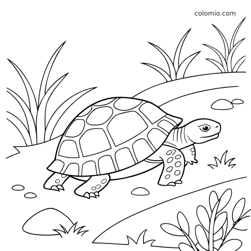 Desenho em linhas de uma tartaruga terrestre caminhando em terra firme, com grama, pedras e arbustos ao redor.