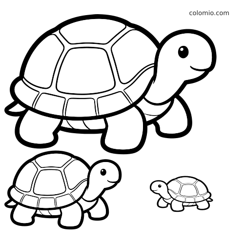 Três tartarugas em estilo cartoon, com cascos arredondados e rostos sorridentes, alinhadas em tamanhos diferentes para colorir.