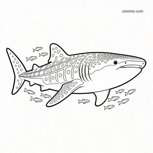 En fredelig hvalhai glir gjennom en virvlende fiskestim. En fredelig hvalhai glir gjennom en virvlende fiskestim.