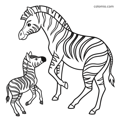 Une mère zèbre et son petit zébreau, dessinés en style cartoon avec des lignes simples, se font face.