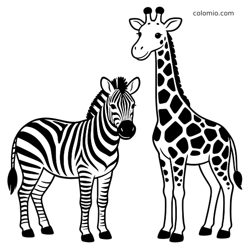 Un zèbre et une girafe en noir et blanc, debout côte à côte, avec des rayures marquées et de grandes taches.
