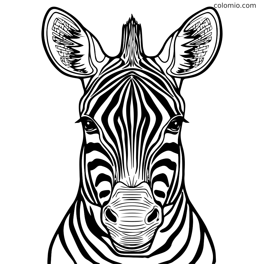 A detailed black and white illustration of a zebra's face, perfect for coloring.