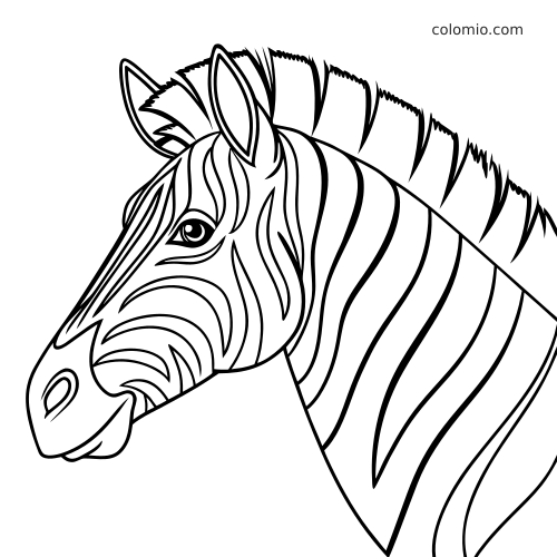 Dessin au trait en noir et blanc d’une tête de zèbre de profil, avec des rayures marquées et une courte crinière dressée.