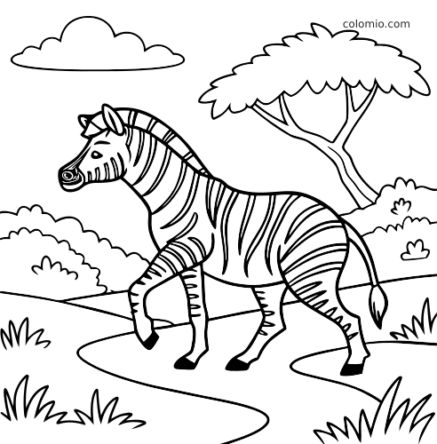 Un zèbre marche sur un sentier sinueux dans la savane, avec des buissons, de l’herbe, un arbre et un nuage.