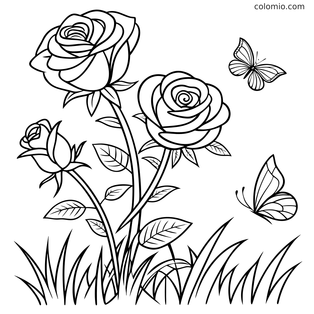 Farvelægningsside med stregtegning af tre roseblomster på stilke med blade, græs nederst og to sommerfugle i nærheden.