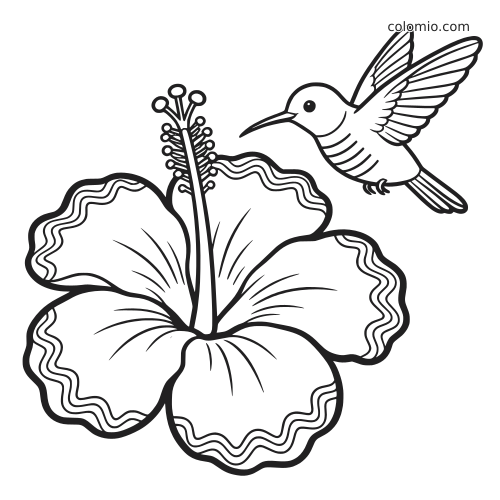 Prosty rysunek konturowy tropikalnego kwiatu hibiskusa z unoszącym się obok kolibrem przy kielichu kwiatu.