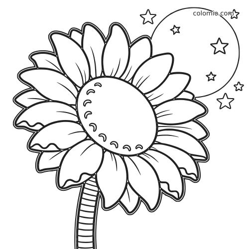 Un grande girasole dai petali arrotondati sotto una luna piena, circondato da semplici stelle in stile cartone.