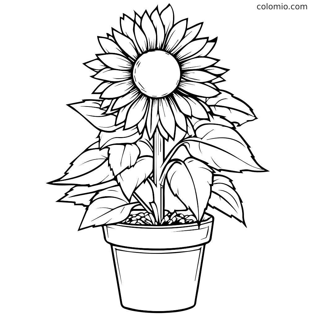 Página para colorir de um belo girassol em um vaso Um contorno em preto e branco de um girassol em um vaso, perfeito para colorir.