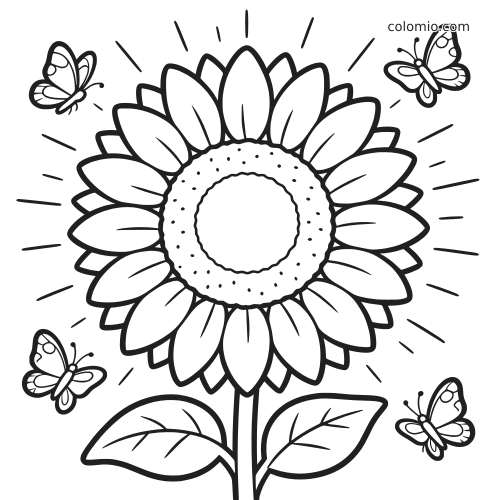 Un grande girasole all’alba con quattro farfalle intorno, disegnato con contorni neri spessi facili da colorare.